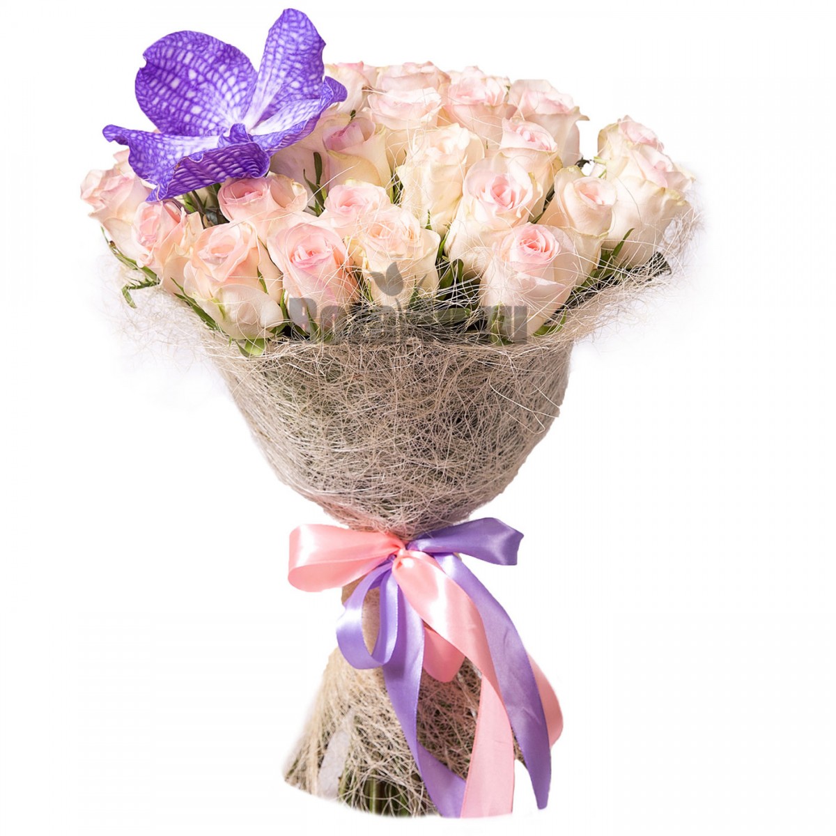 Pasion White 25 Roses